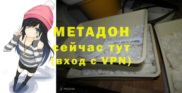 амф Гусев