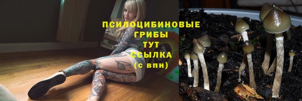 каннабис Гусиноозёрск