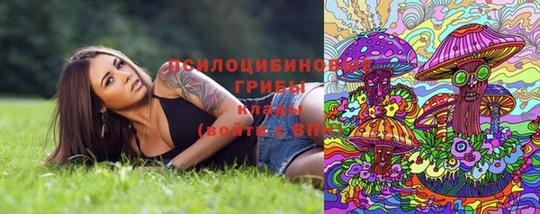 каннабис Гусиноозёрск