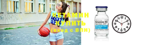 амф Гусев