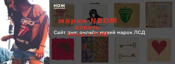 амф Гусев