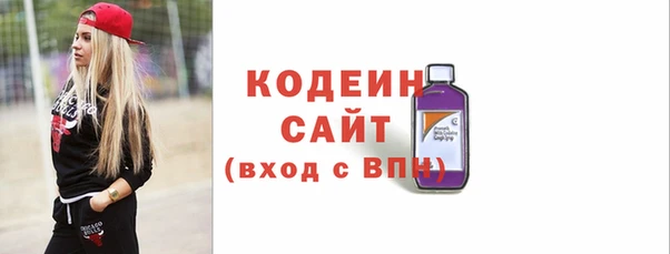 амф Гусев