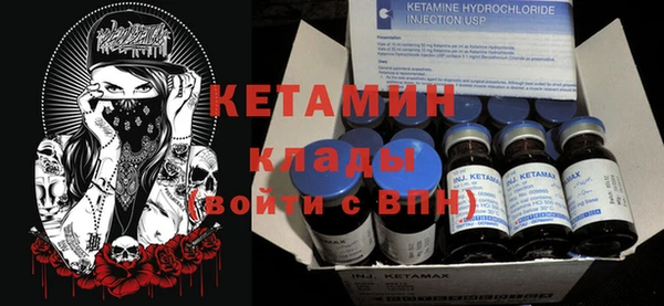 амф Гусев