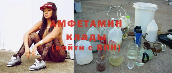 амф Гусев