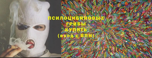 амф Гусев