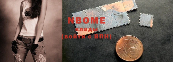 амф Гусев
