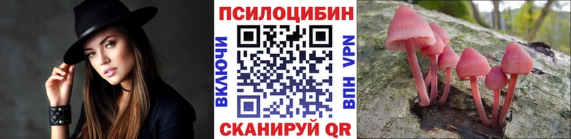 Купить где  Кушва  Псилоцибиновые грибы Psilocybine cubensis 